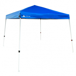 10 x 10 Canopy