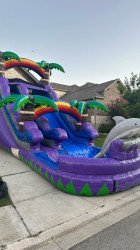 Dolphin202 1719501980 15 FT Dolphin wet/dry slide